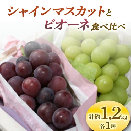 葡萄シャインマスカット&スカーレット2kg 葡萄シャインマスカット&スカーレット2kg