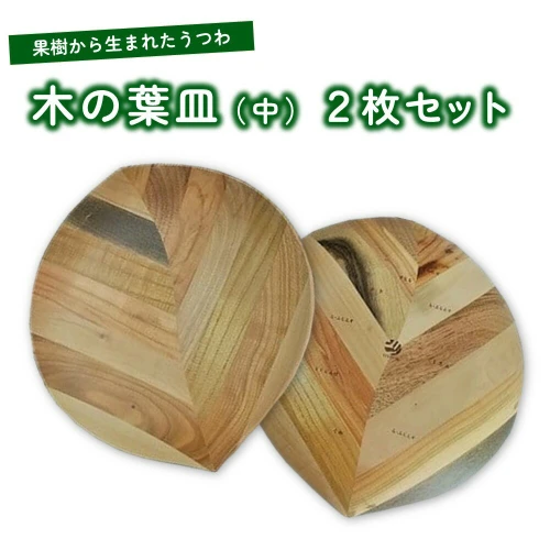 新品特上桑の木の蓋付き菓子盆菓子器木工品ハンドメイド